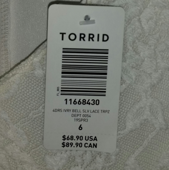 Torrid Dress - Picture 6 of 8